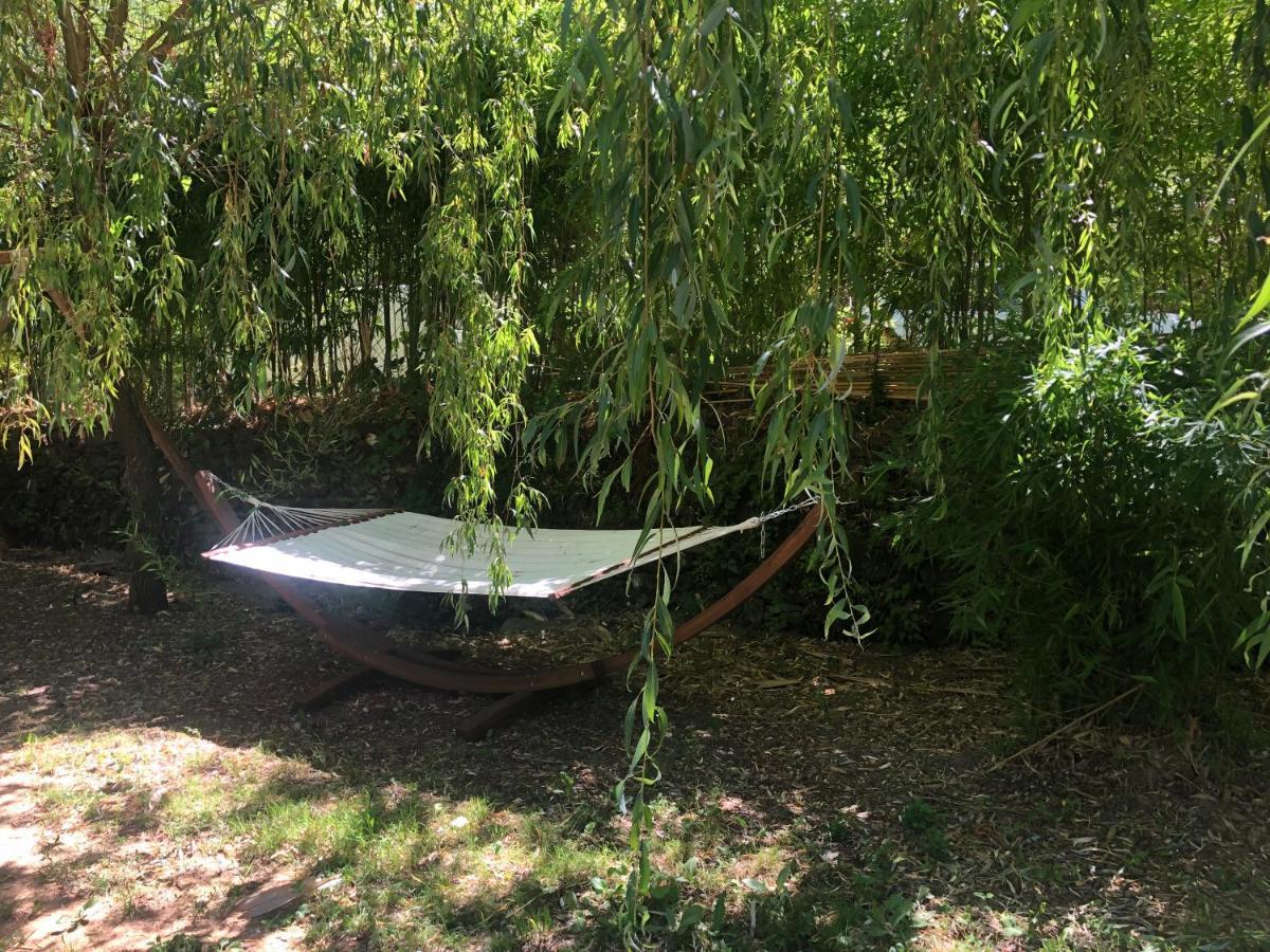 Le Moulin De Bouzigue Bed and Breakfast Valleraugue Esterno foto